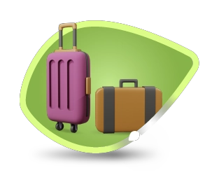 Leaf Luggage Icon